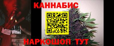 хмурый Новозыбков