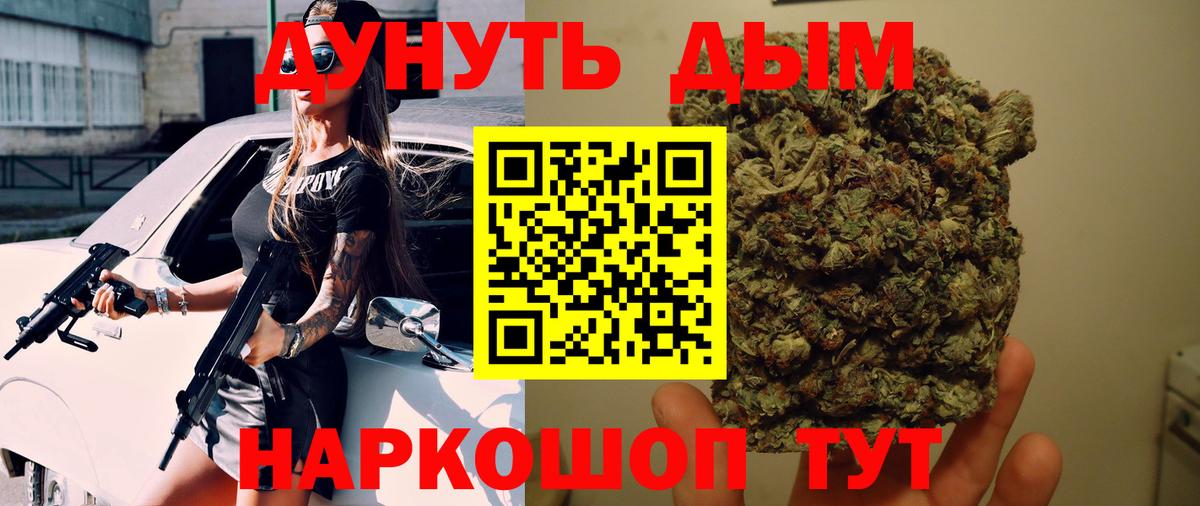 Конопля гибрид Ступино